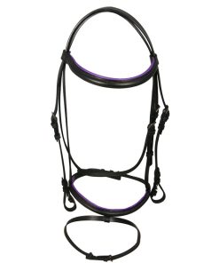 Bridle