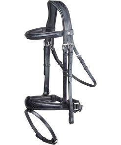 Bridle